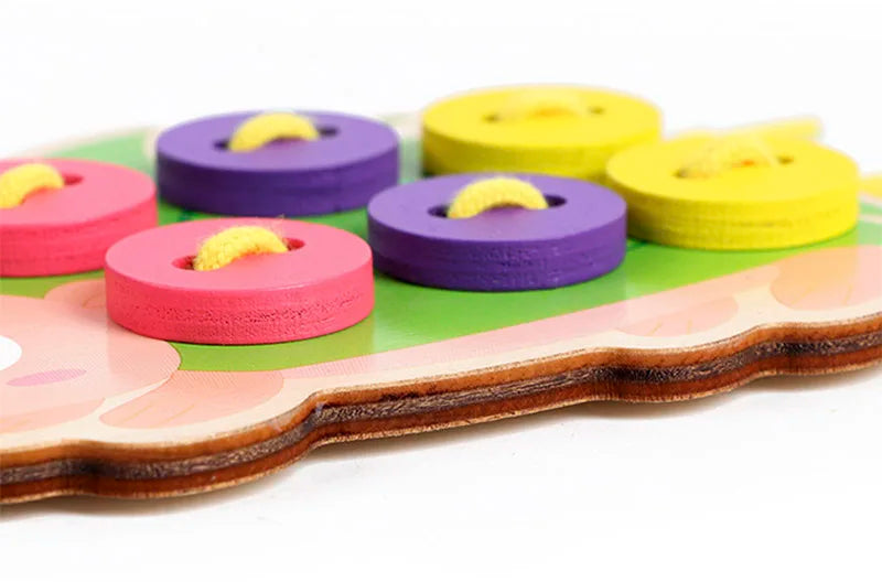Wooden Fraction Sorting Blocks (Montessori Math)