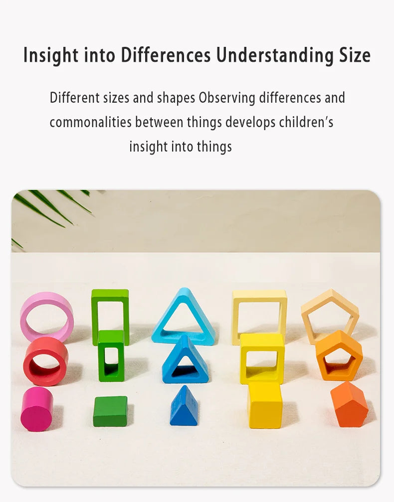 Geometric Shape Cognition Puzzle Board (Wooden Montessori)