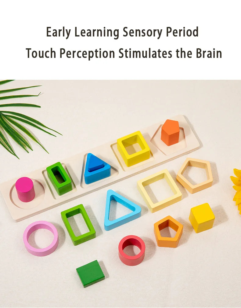 Geometric Shape Cognition Puzzle Board (Wooden Montessori)