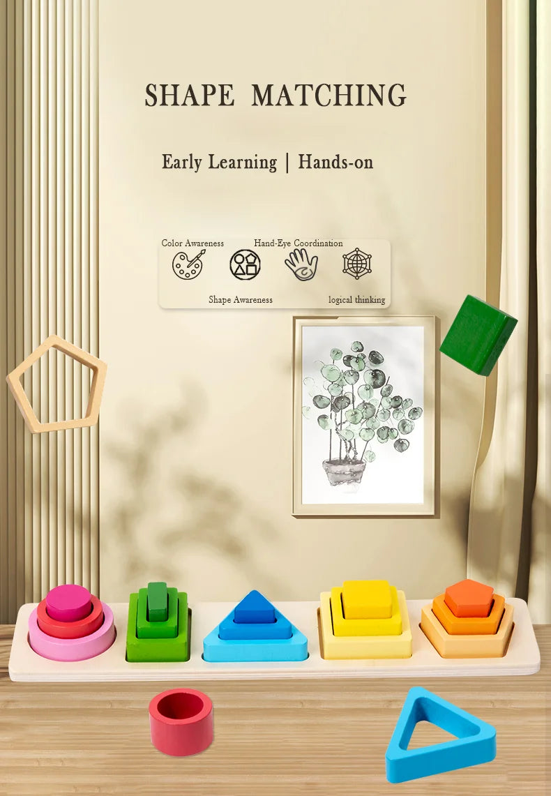 Geometric Shape Cognition Puzzle Board (Wooden Montessori)
