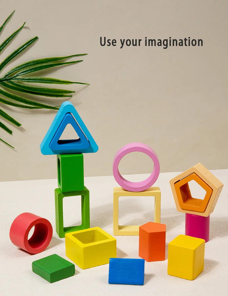 Geometric Shape Cognition Puzzle Board (Wooden Montessori)