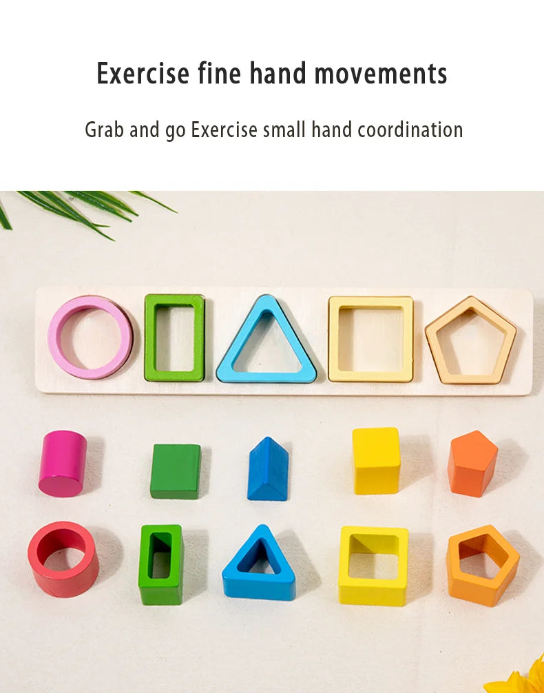 Geometric Shape Cognition Puzzle Board (Wooden Montessori)