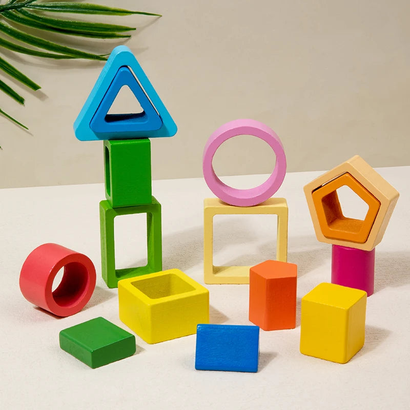 Geometric Shape Cognition Puzzle Board (Wooden Montessori)