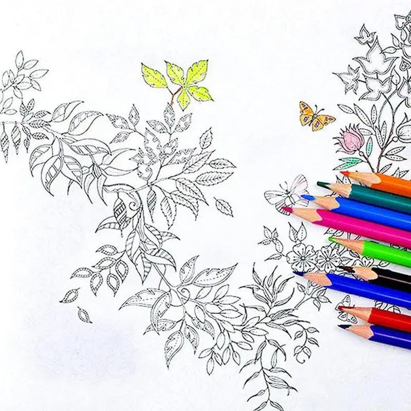 Premium Kids Coloring Pencil Drawing Book (12 Sheets/24 Pages)