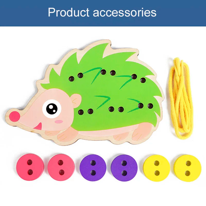 Wooden Fraction Sorting Blocks (Montessori Math)